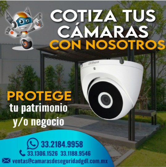 Imagen 11