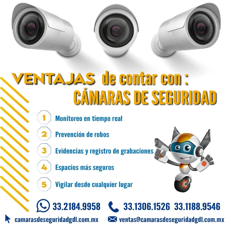 Imagen 13