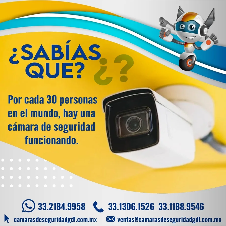 Imagen 16