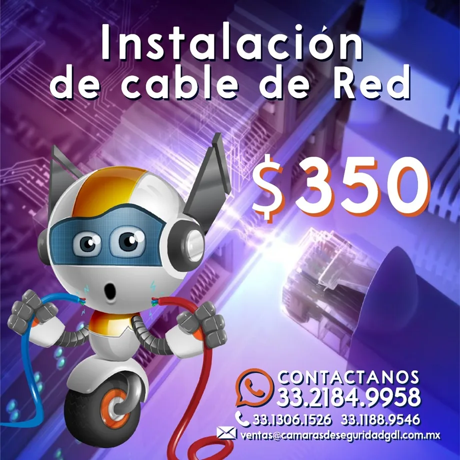 Imagen 19